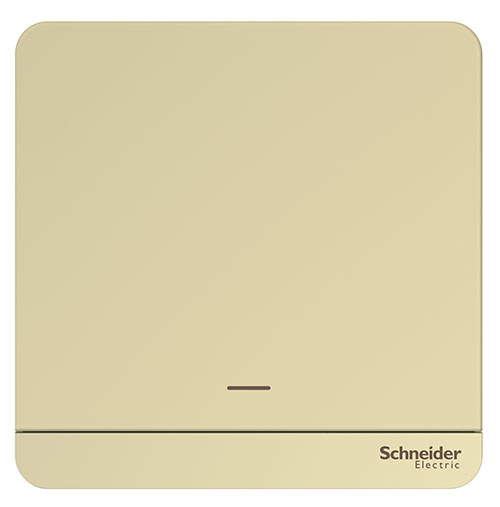 1G_Switch _Gold_